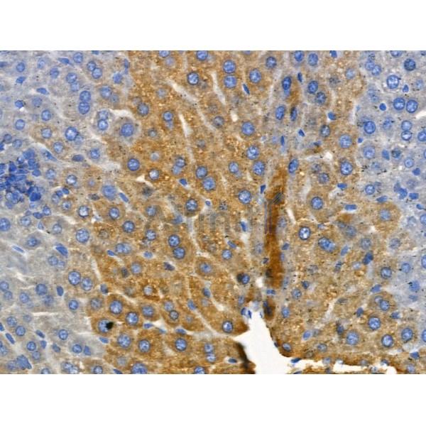 Валидация Affinity DF3578 - 14533