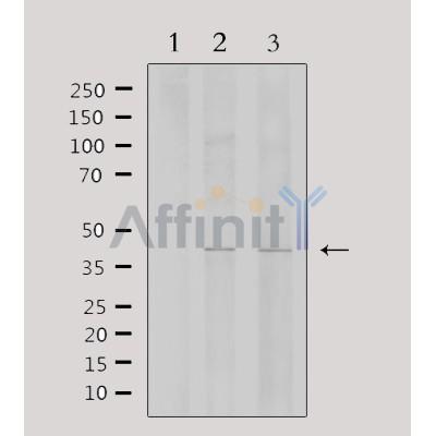 Валидация Affinity DF3282 - 14143