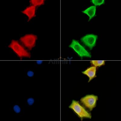 Валидация Affinity DF13970 - 9727