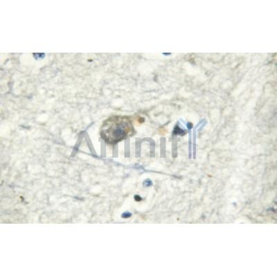 Валидация Affinity AF6083 - 3285