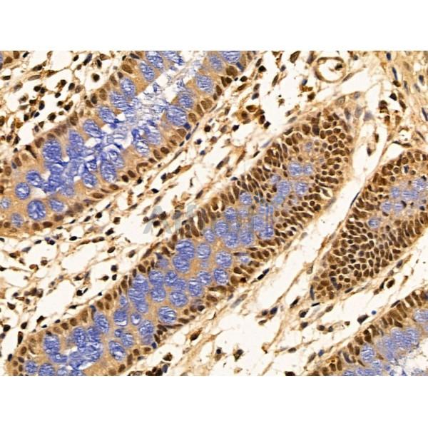 Валидация Affinity DF13668 - 9240