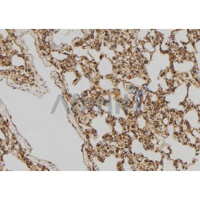 Валидация Affinity DF4454 - 15971