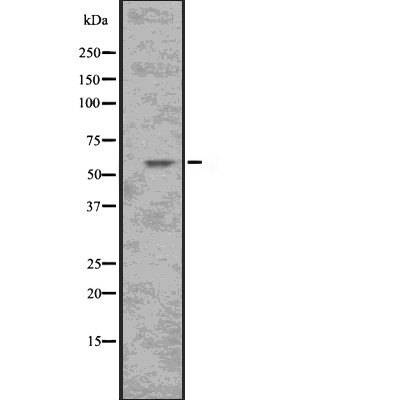 Валидация Affinity DF7639 - 19407