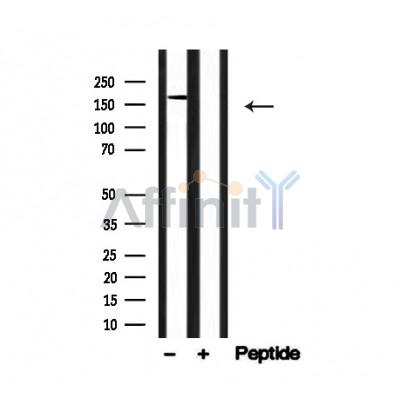 Валидация Affinity AF4723 - 2340