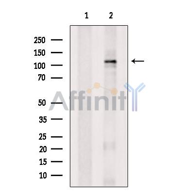 Валидация Affinity DF4364 - 15827