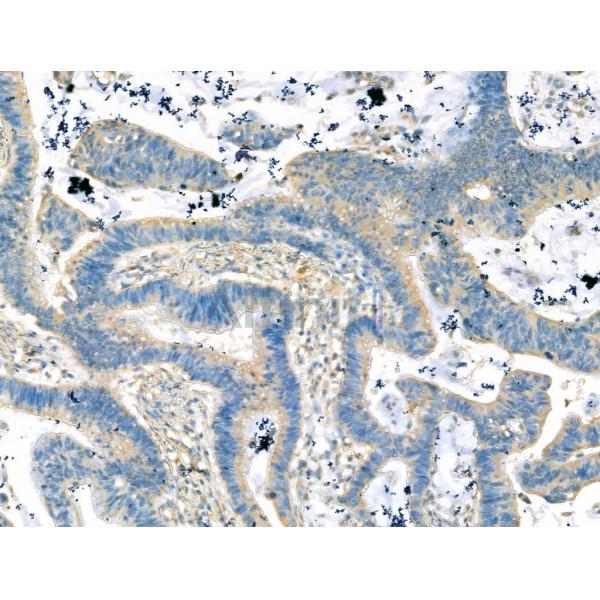 Валидация Affinity DF13290 - 8416