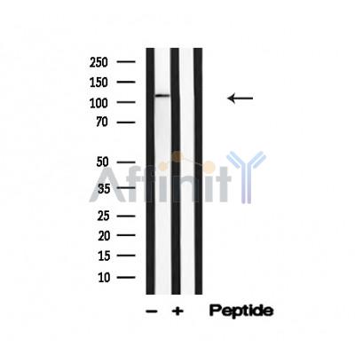 Валидация Affinity AF4669 - 2285