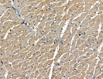 Валидация Affinity DF16073 - 12630