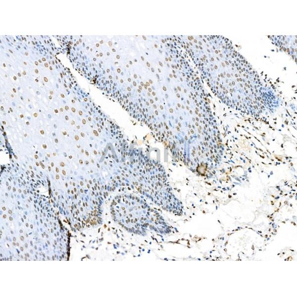 Валидация Affinity AF4355 - 2189