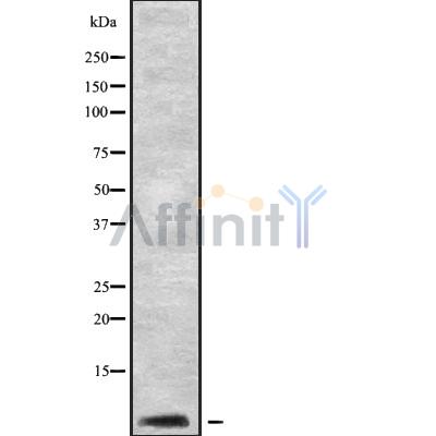 Валидация Affinity DF10070 - 5548