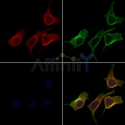 Валидация Affinity DF7444 - 19198