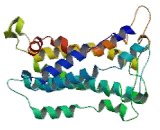 Purinergic Receptor P2Y, G Protein Coupled 1 (P2RY1) Purinergic Receptor P2Y, G Protein Coupled 1 (P2RY1)