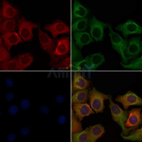 Валидация Affinity DF5142 - 17099