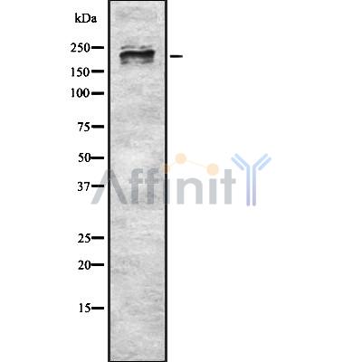 Валидация Affinity DF8574 - 20476