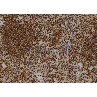 Валидация Affinity AF6106 - 3314