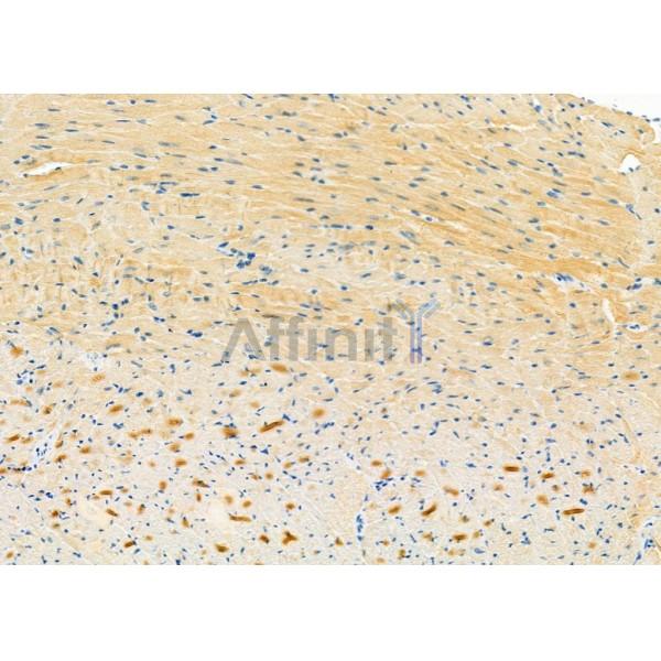 Валидация Affinity DF12318 - 6712