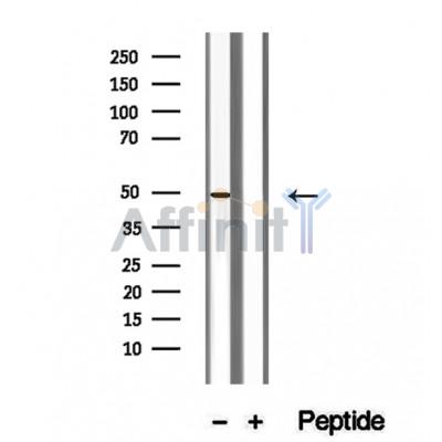 Валидация Affinity DF12339 - 6765