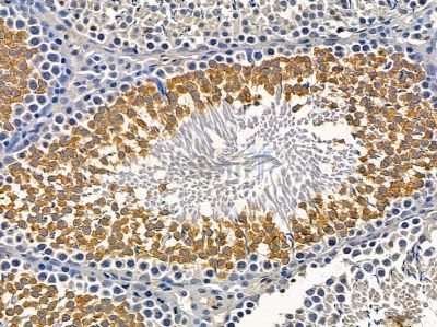 Валидация Affinity DF14409 - 10343