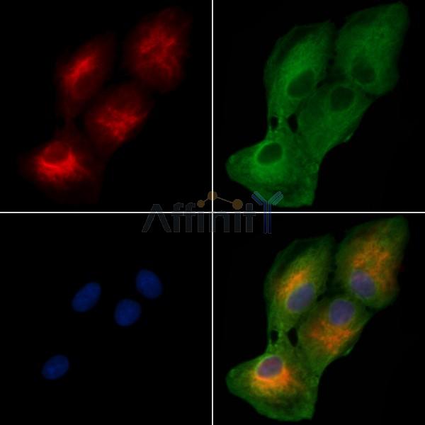 Валидация Affinity DF3799 - 14914