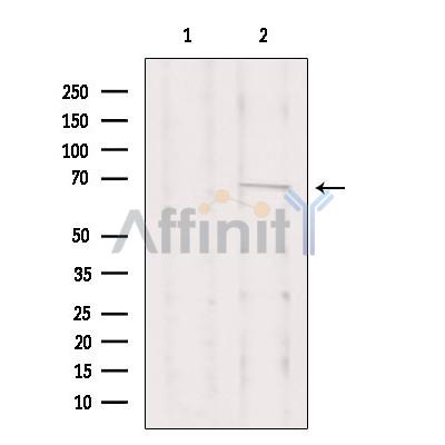 Валидация Affinity DF2676 - 13381