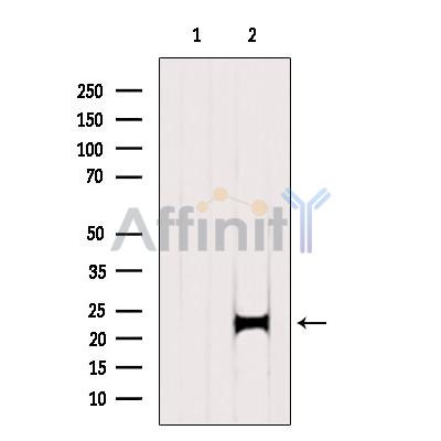 Валидация Affinity DF7937 - 19773