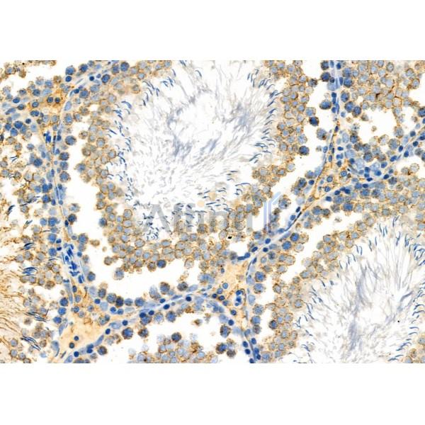 Валидация Affinity DF6599 - 18048