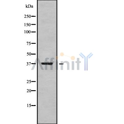 Валидация Affinity DF10228 - 5801