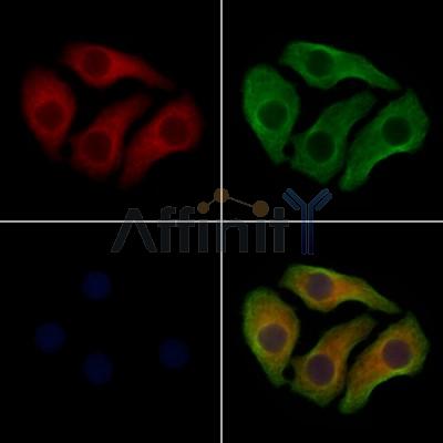 Валидация Affinity AF7724 - 4420