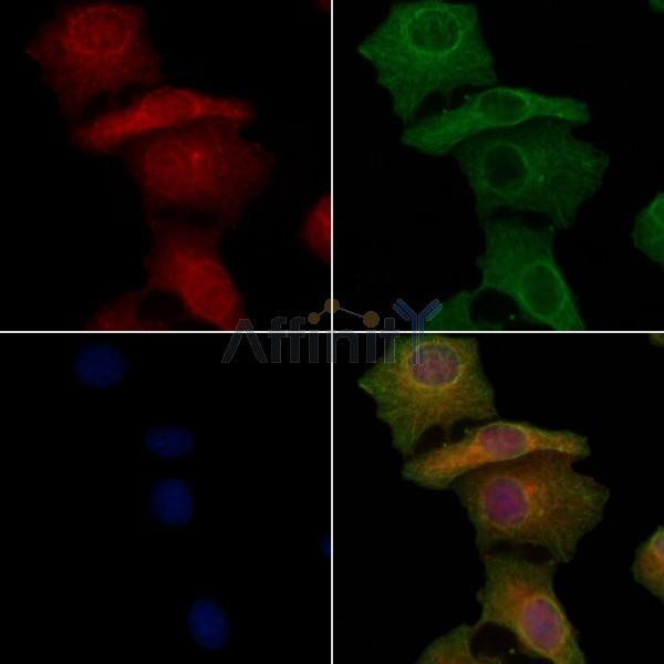 Валидация Affinity DF6839 - 18408