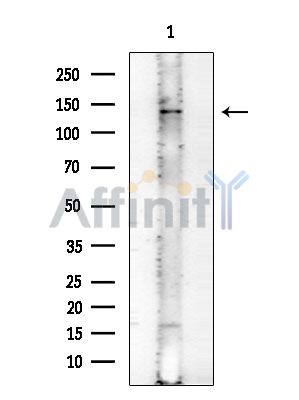 Валидация Affinity AF6757 - 4004