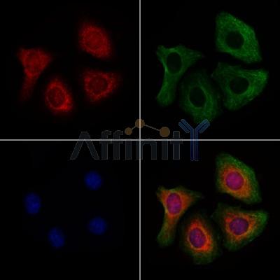 Валидация Affinity DF7883 - 19704