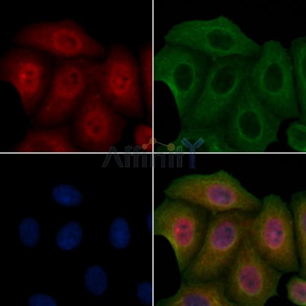 Валидация Affinity DF4774 - 16492