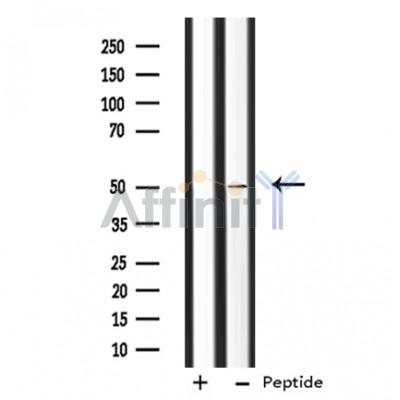Валидация Affinity DF3778 - 14877