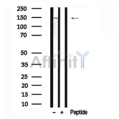 Валидация Affinity AF7631 - 4304
