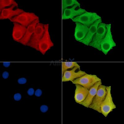 Валидация Affinity DF14752 - 10838