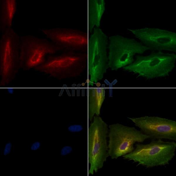 Валидация Affinity DF13294 - 8425
