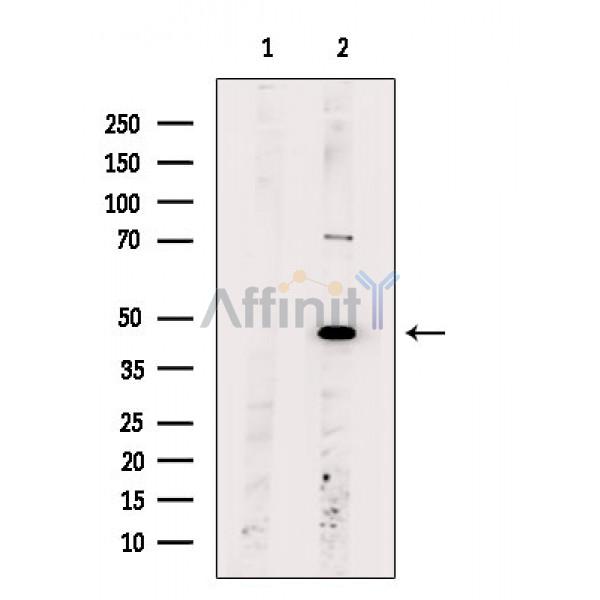 Валидация Affinity DF5115 - 17052