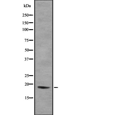 Валидация Affinity DF7888 - 19706
