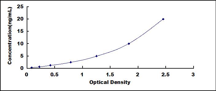 61519