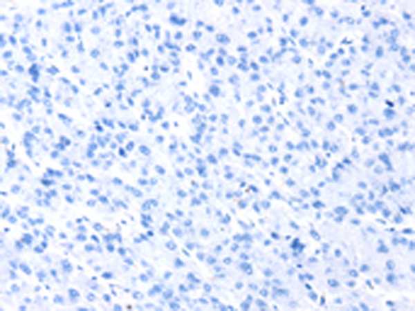 Валидация AssayVector ARM1834(2403)