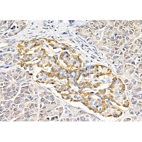 Валидация Affinity DF9930 - 22923