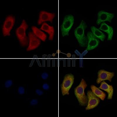 Валидация Affinity DF2910 - 13644