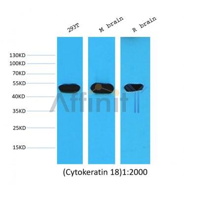 Валидация Affinity BF0727 - 5400