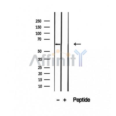 Валидация Affinity DF12440 - 6962