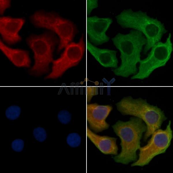 Валидация Affinity DF4860 - 16636