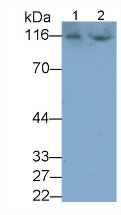 28374