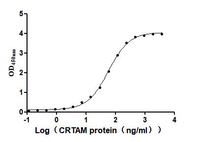 Функциональный ИФА: связывание мышиного CRTAM с иммобилизованным CADM1