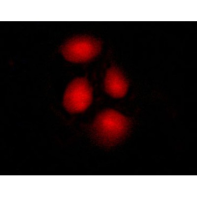 Валидация Affinity AF6122 - 3338