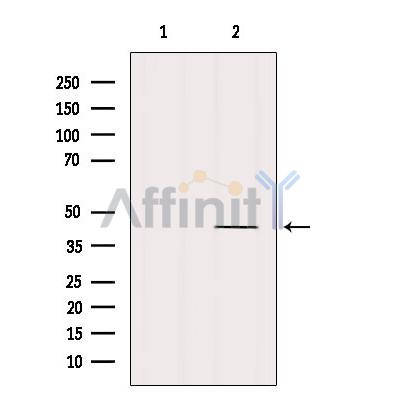 Валидация Affinity DF6870 - 18452