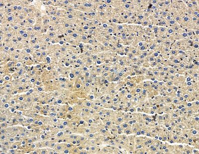 Валидация Affinity DF15537 - 11928